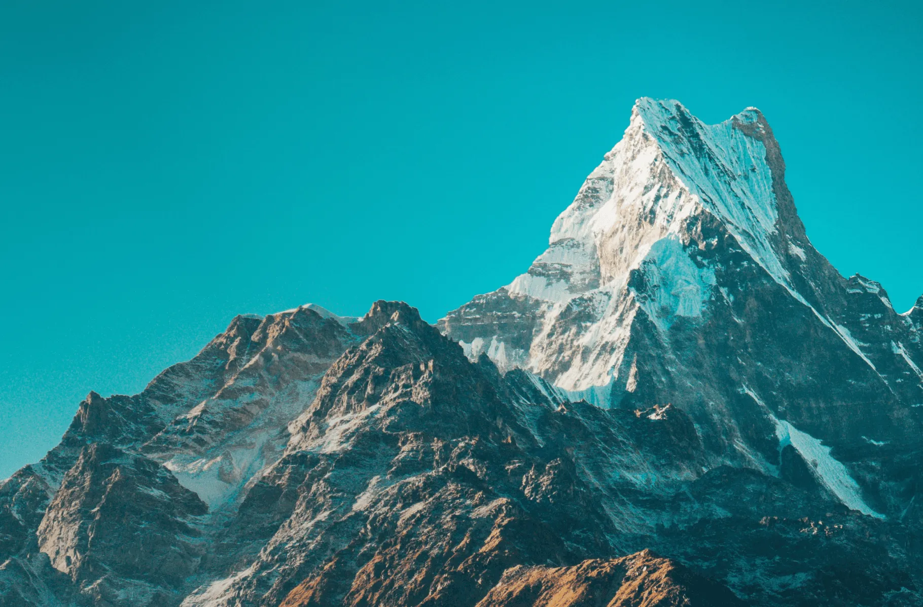Why Hedge Funds with Peregrine Capital